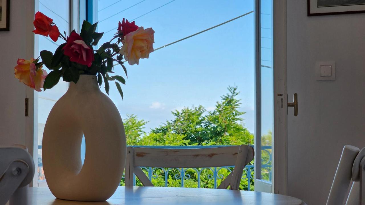 Plaka 1870 House 1&2アパートメント エクステリア 写真